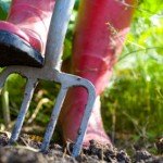 working in the garden working in the garden