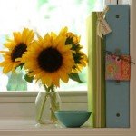 sunflowers and binder sunflowers and binder