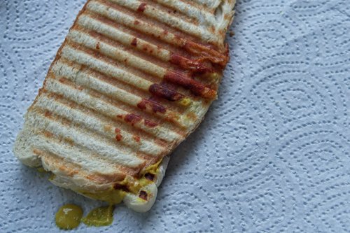 diy paninis