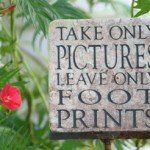 take only pictures take only pictures