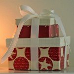 holiday-gift-box holiday gift box